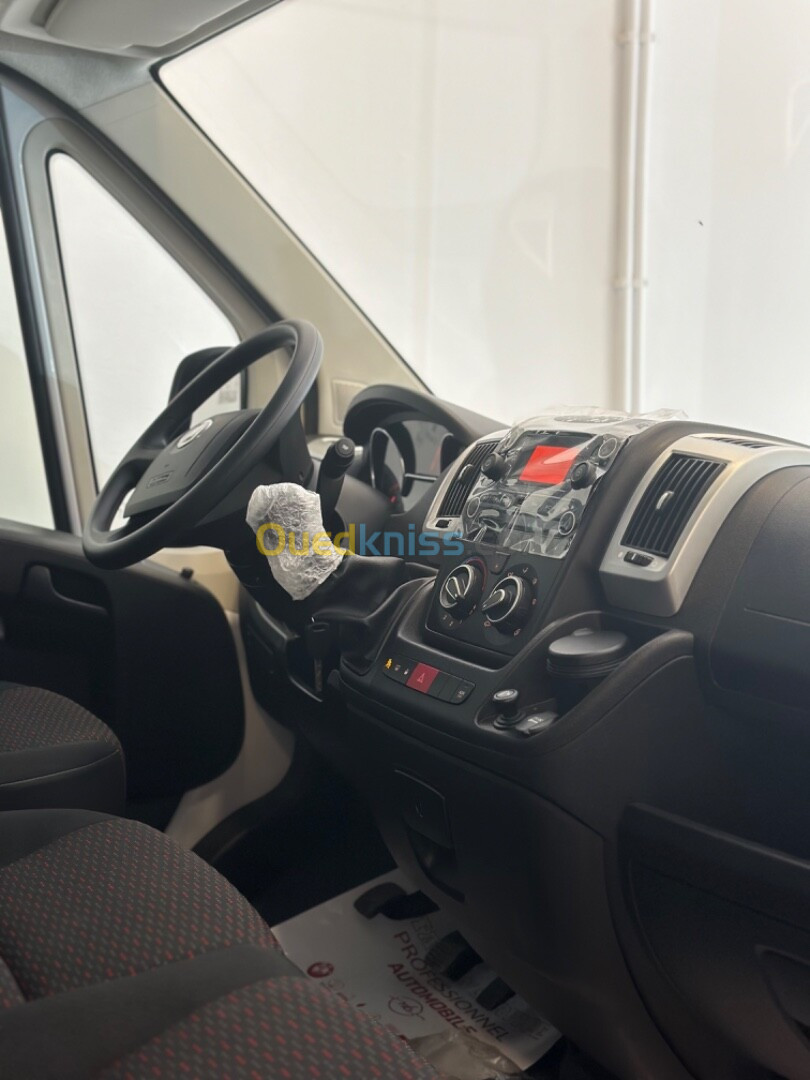 Fiat Ducato 2024 Professionnel