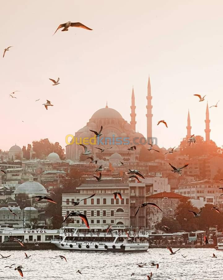 إسطنبول تركيا نهاية السنة voyage organisée Istanbul Turquie fin d'année  129000