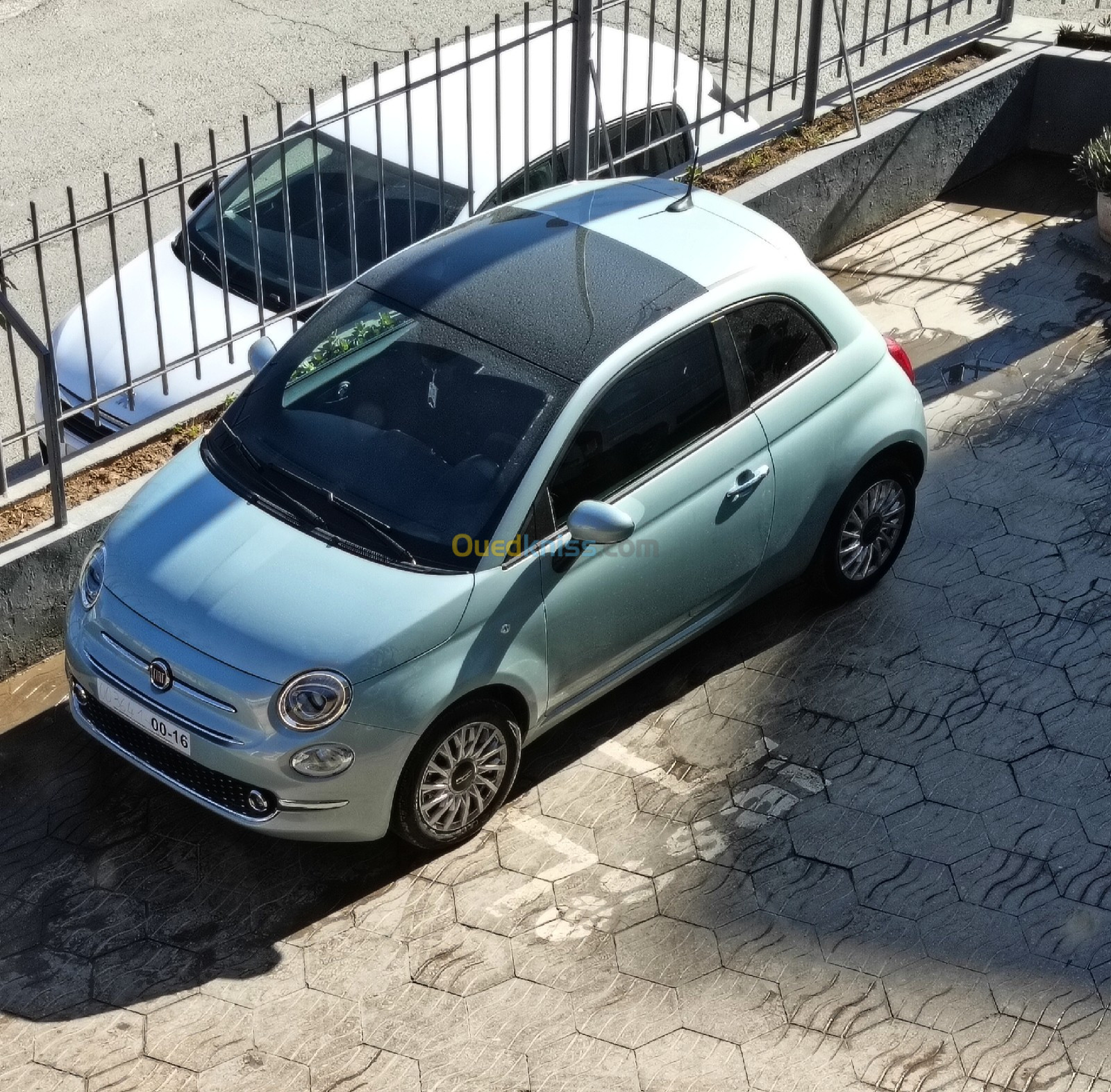 Fiat Fiat500 2023 Clup