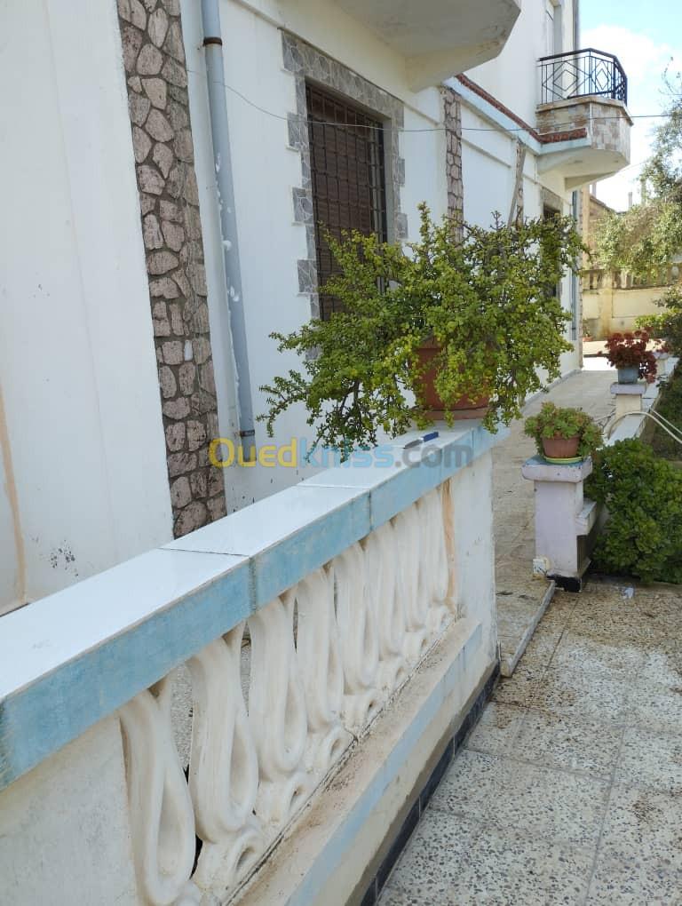 Vente Villa El taref Echatt