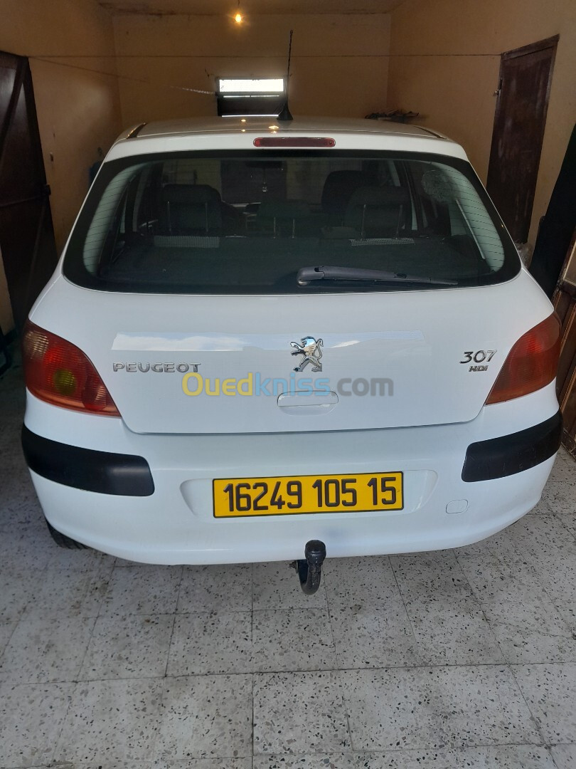 Peugeot 307 2005 307