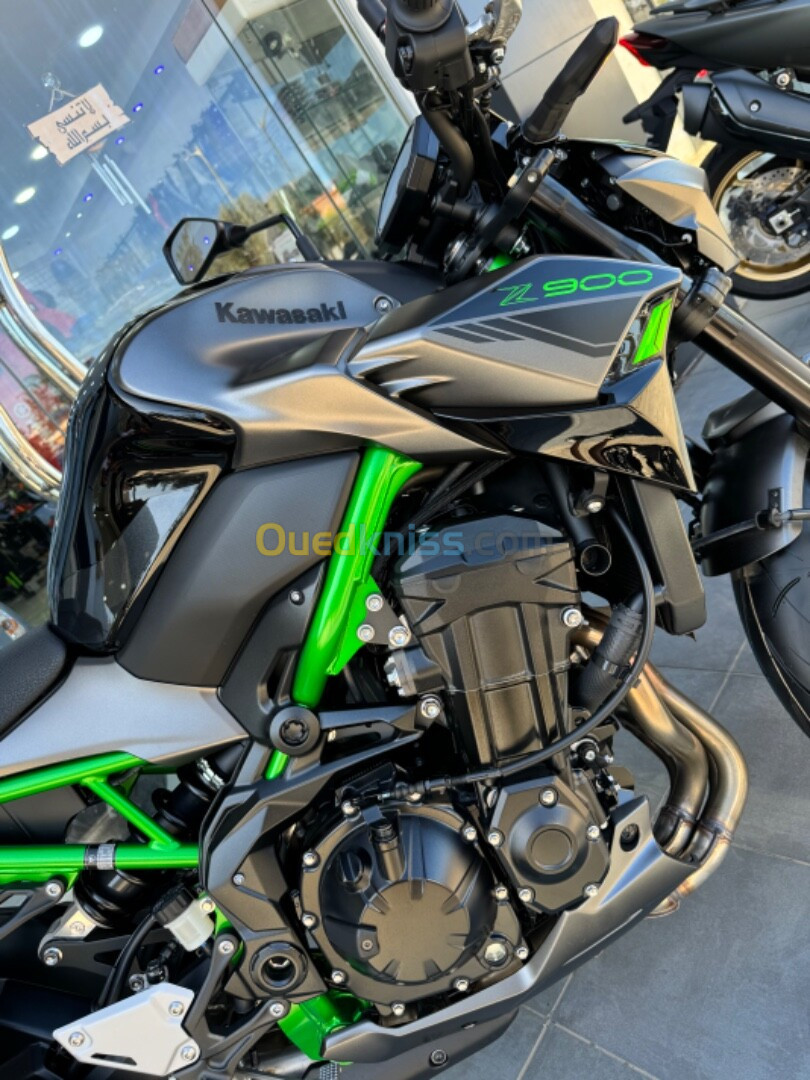 Kawasaki Z900 2024