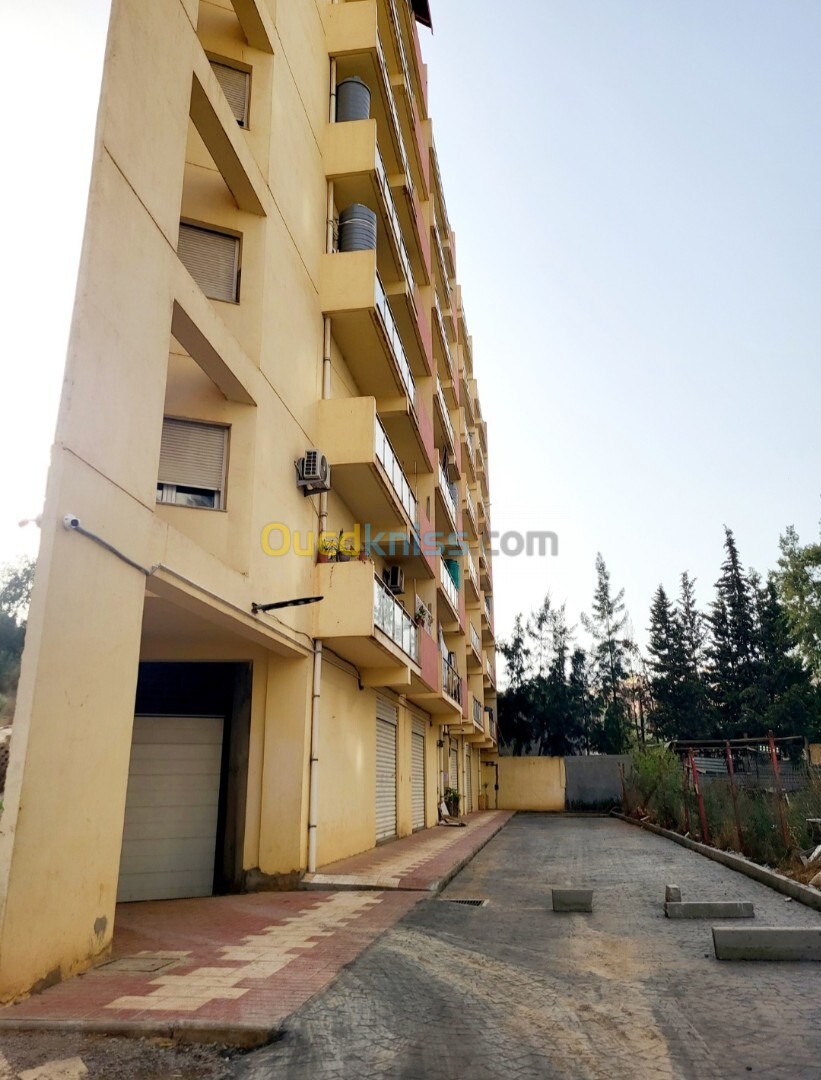 Vente Appartement F3 Alger Ain naadja