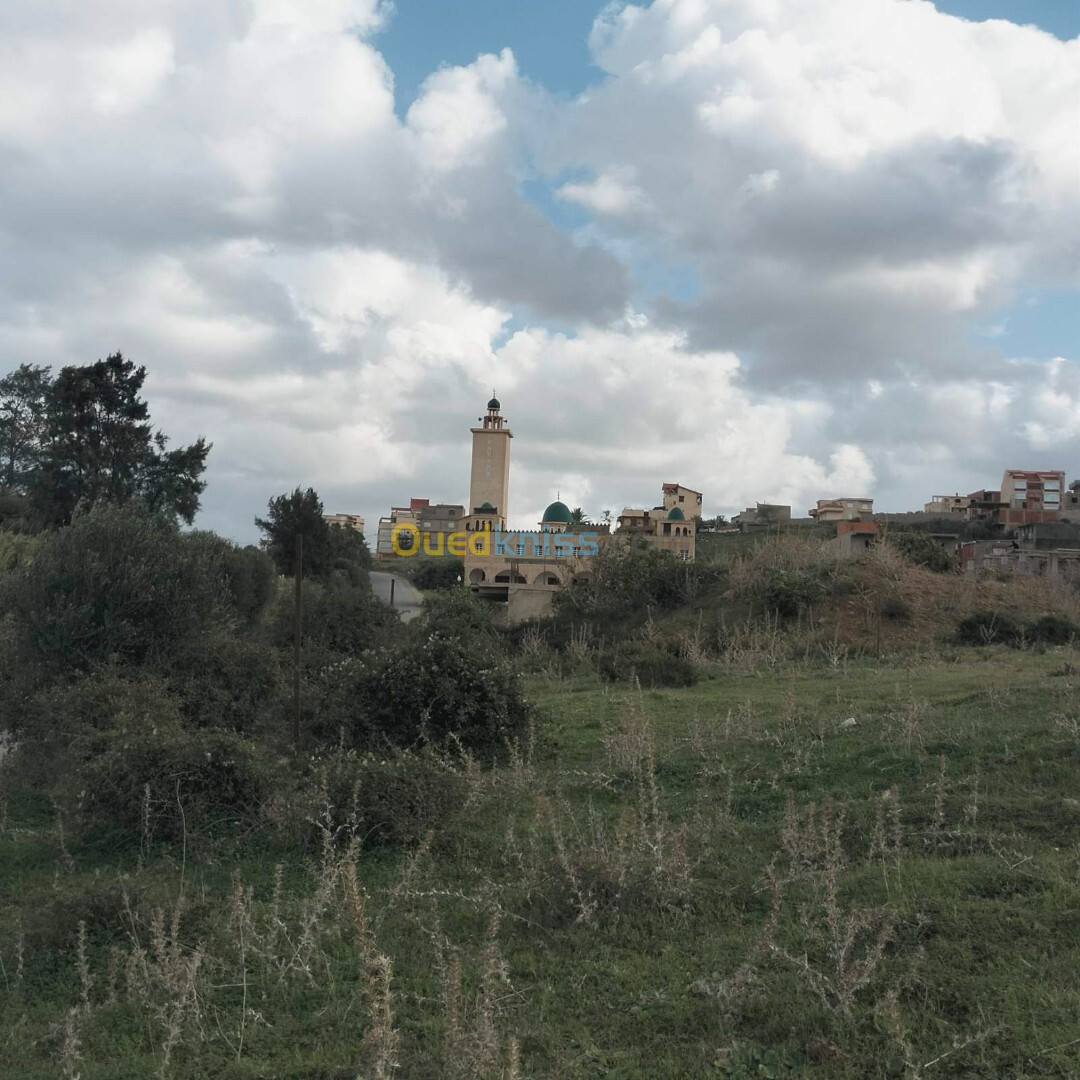 Vente Terrain Boumerdès Zemmouri