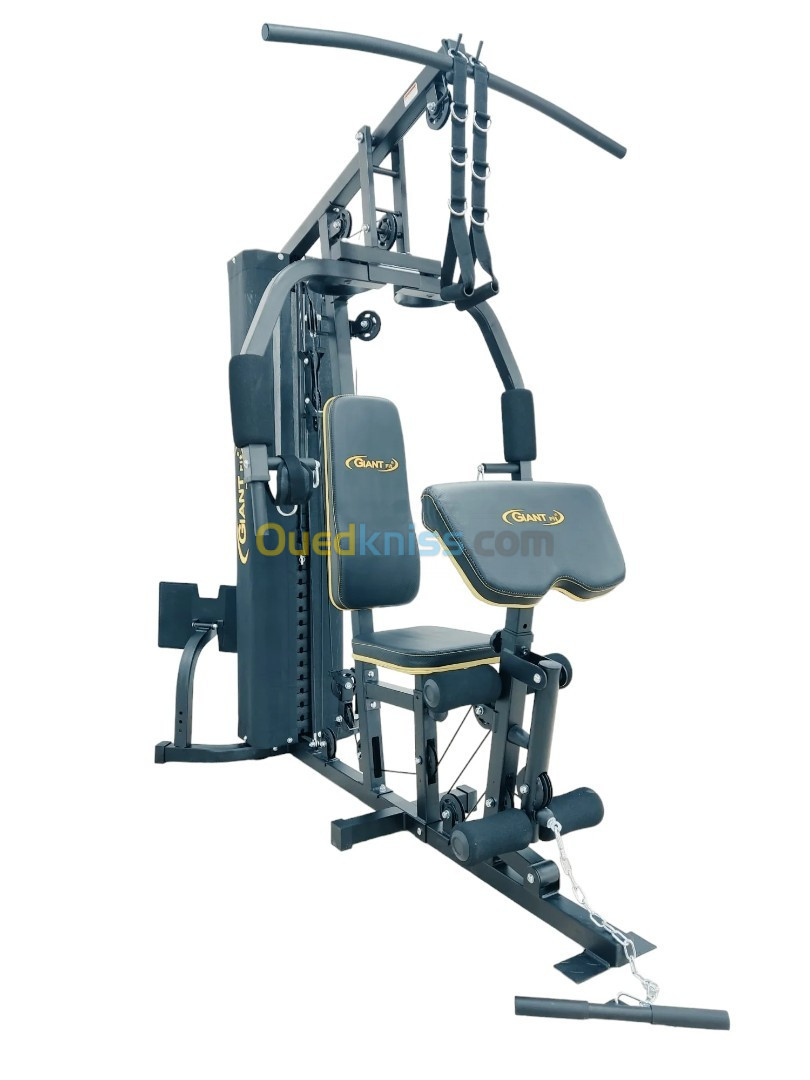 PRESS MUSCULATION GIANT FIT GF 105