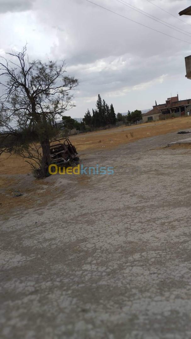 Vente Terrain Setif Guelal