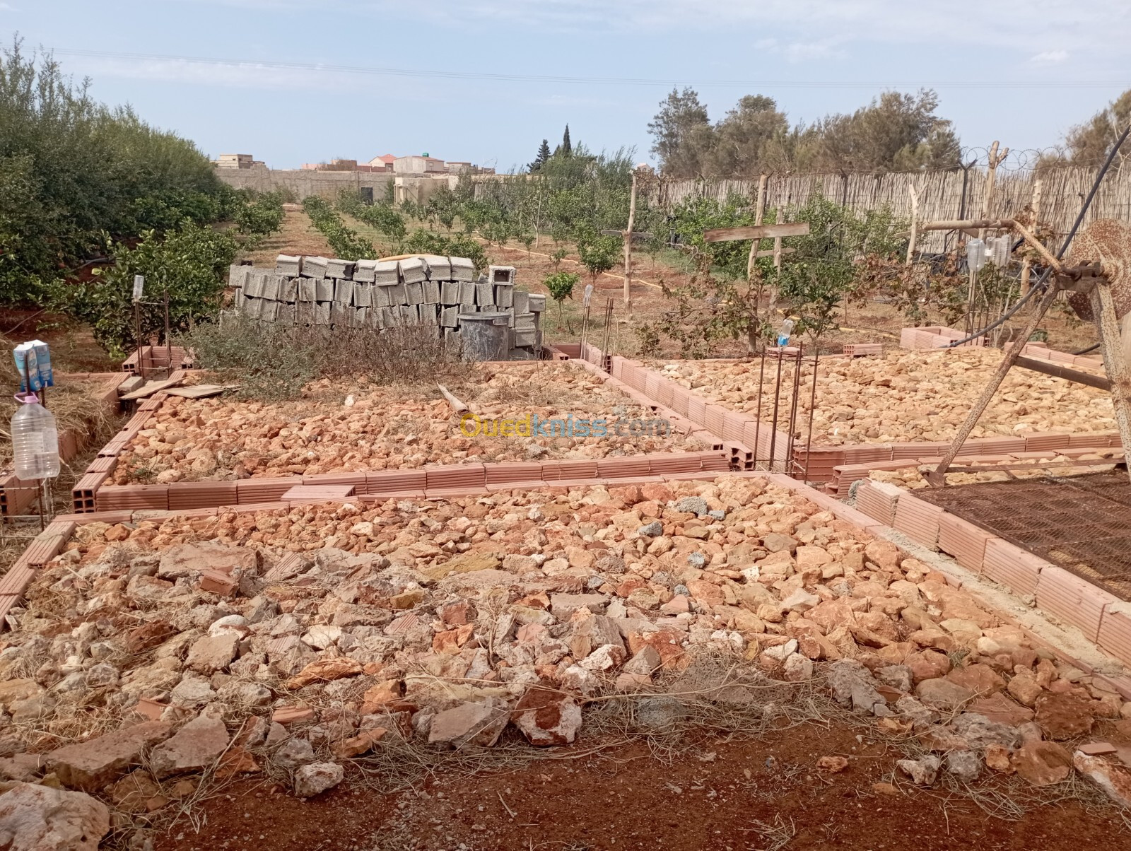 Vente Terrain Mostaganem Hadjadj