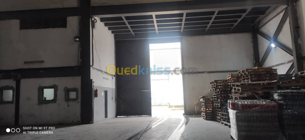 Vente Hangar Annaba El hadjar