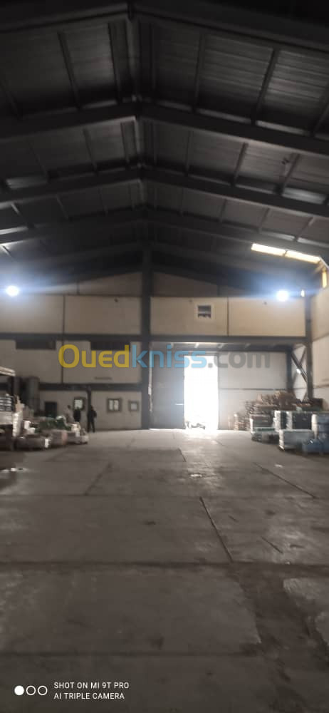 Vente Hangar Annaba El hadjar