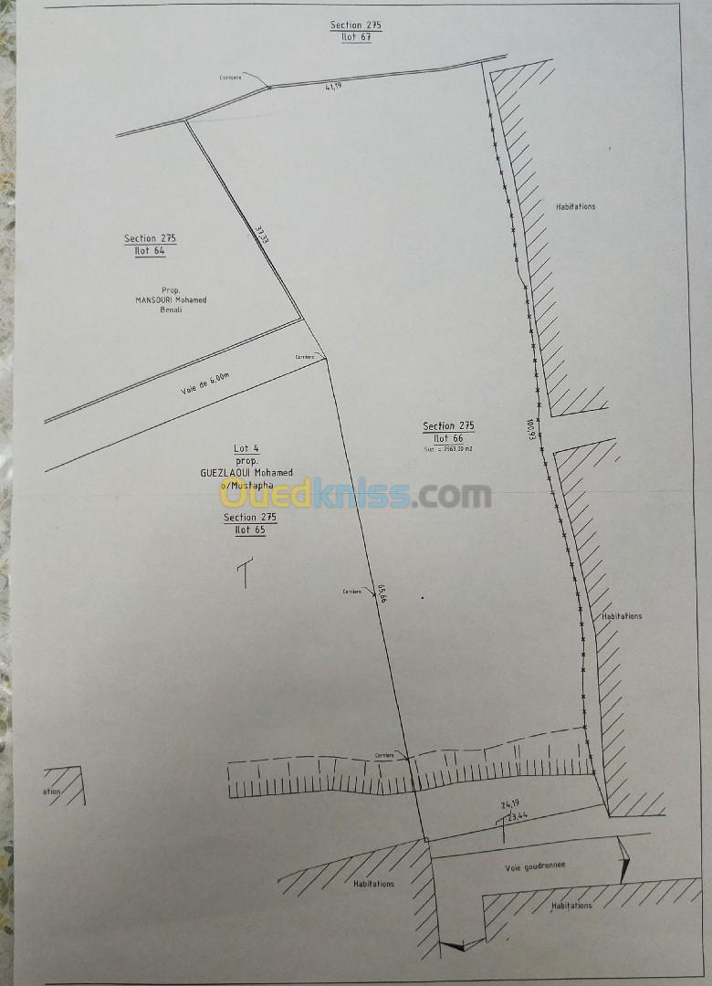 Vente Terrain Tlemcen Tlemcen