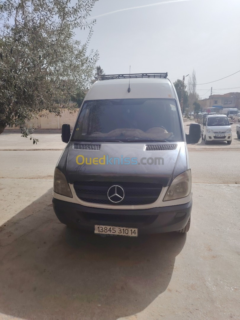 Mercedes Sprinter 2010 Sprinter