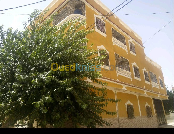 Vente Villa Djelfa Ain oussara