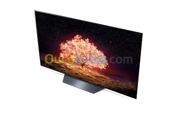 Téléviseurs LG Oled 77 B1 européen 