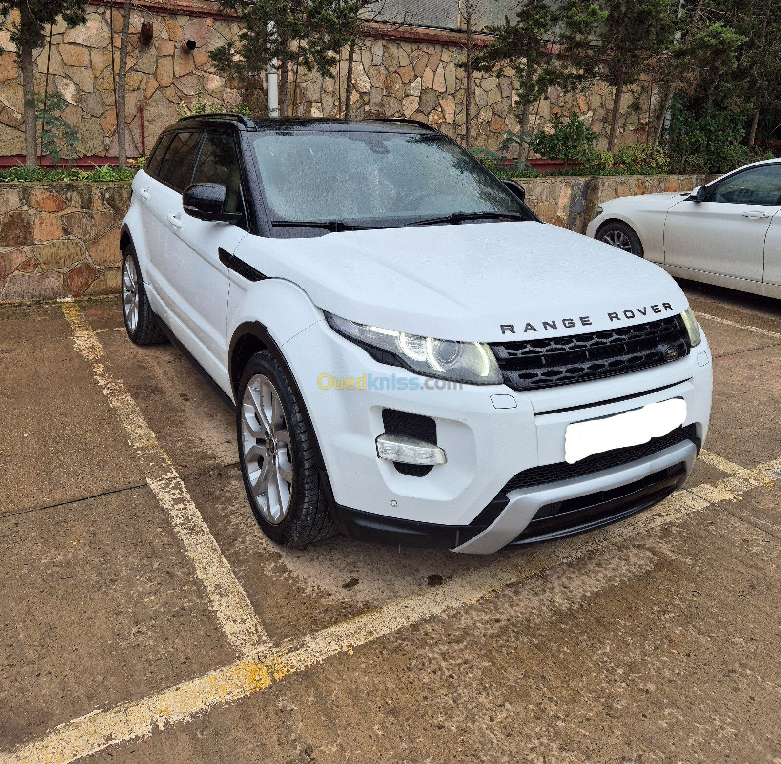 Land Rover Range Rover Evoque 2013 Dynamique Plus