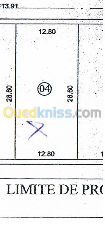 Vente Terrain Oran Bir el djir