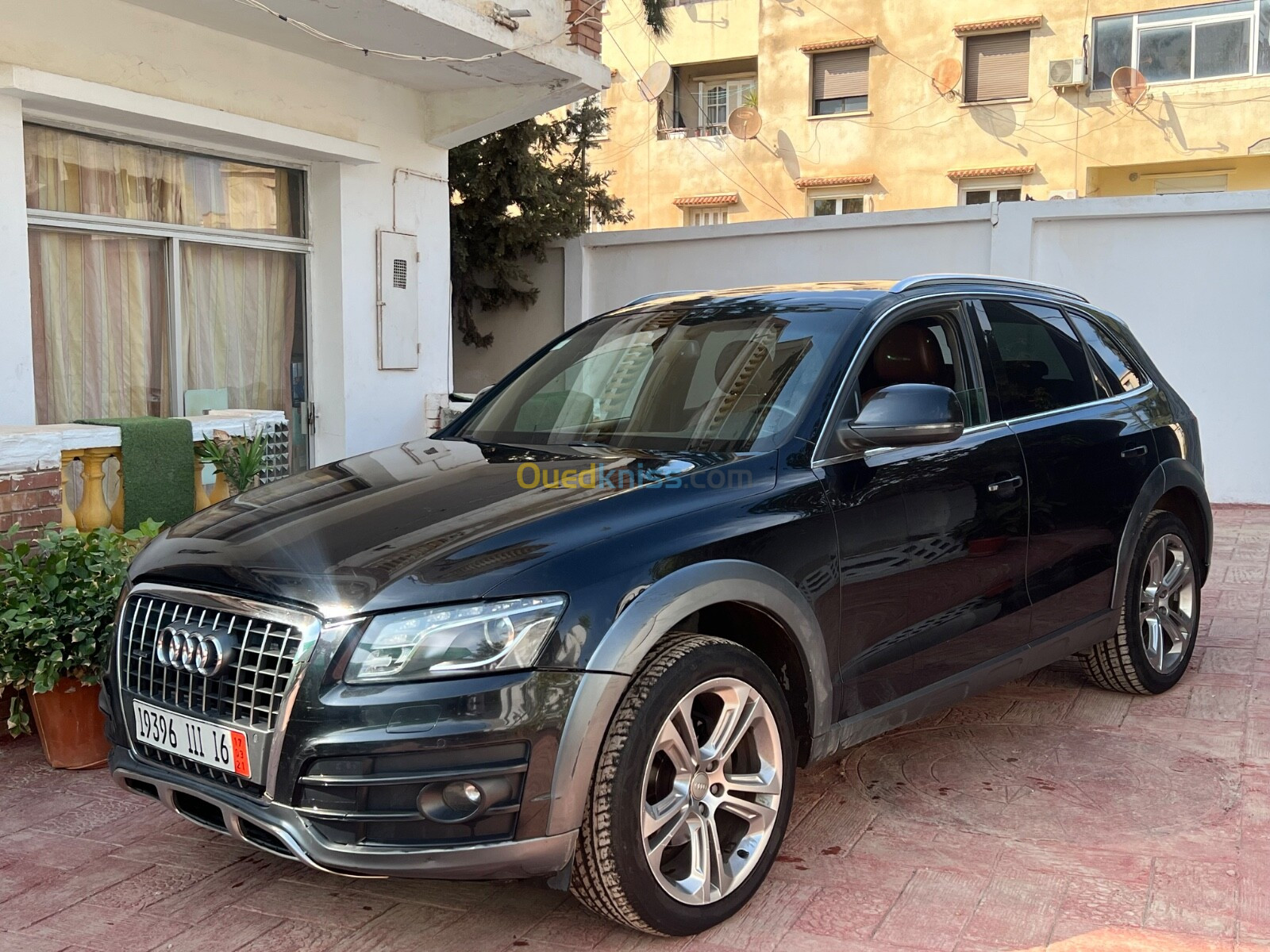 Audi Q5 2011 Off Road