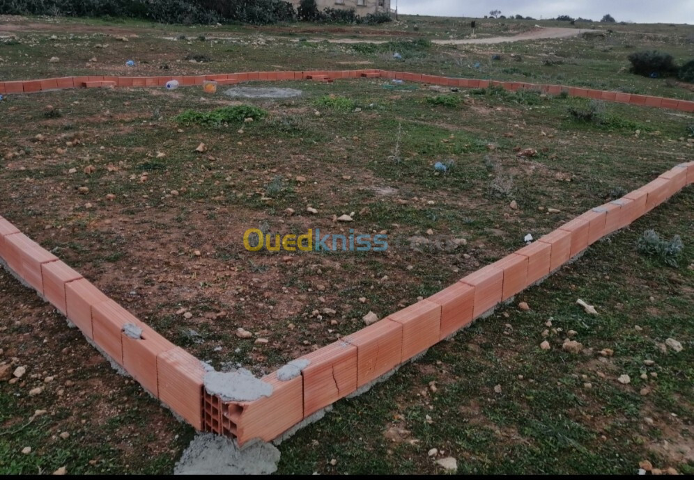 Vente Terrain Mostaganem Mostaganem