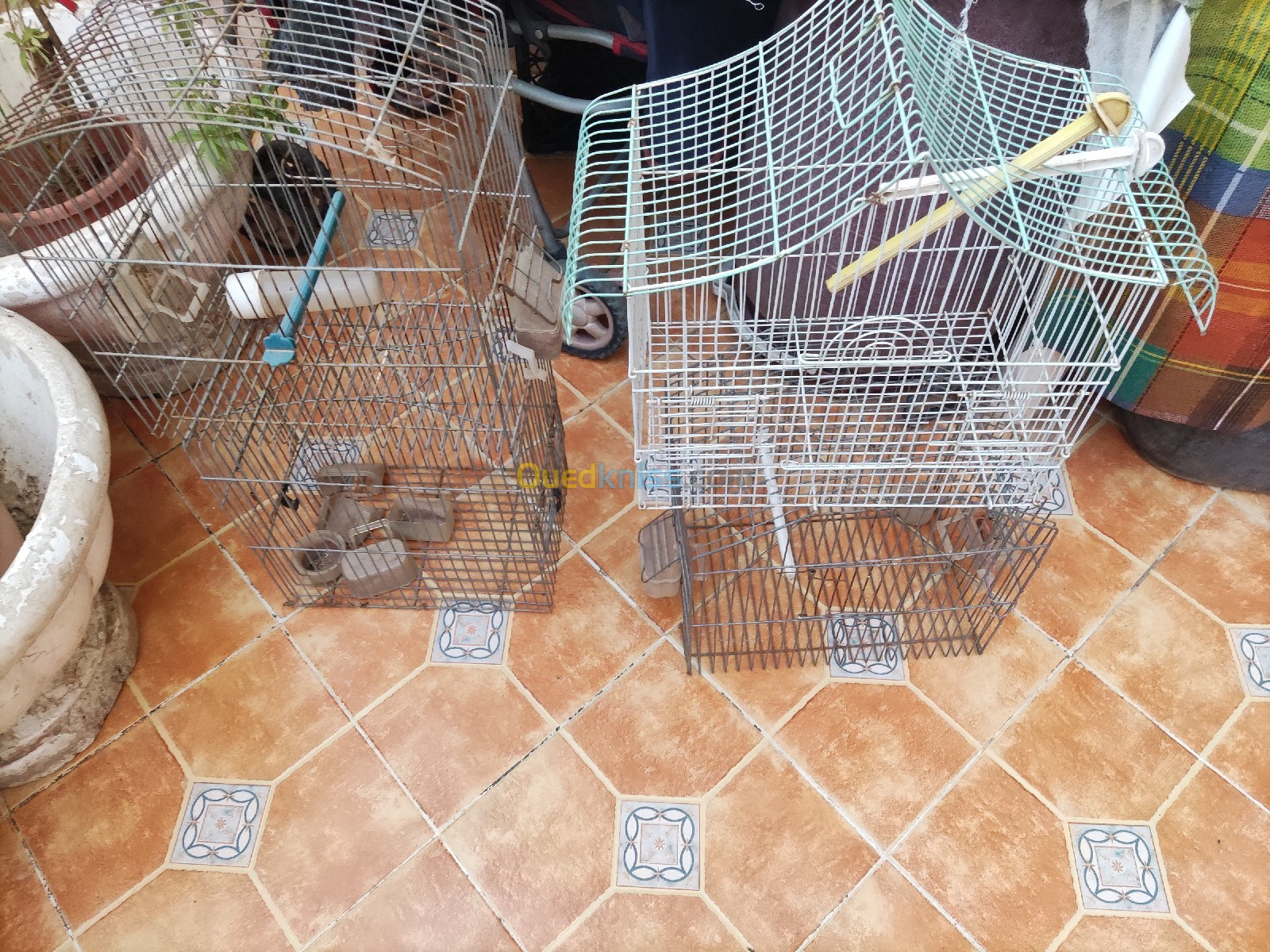 Cages a oiseaux 