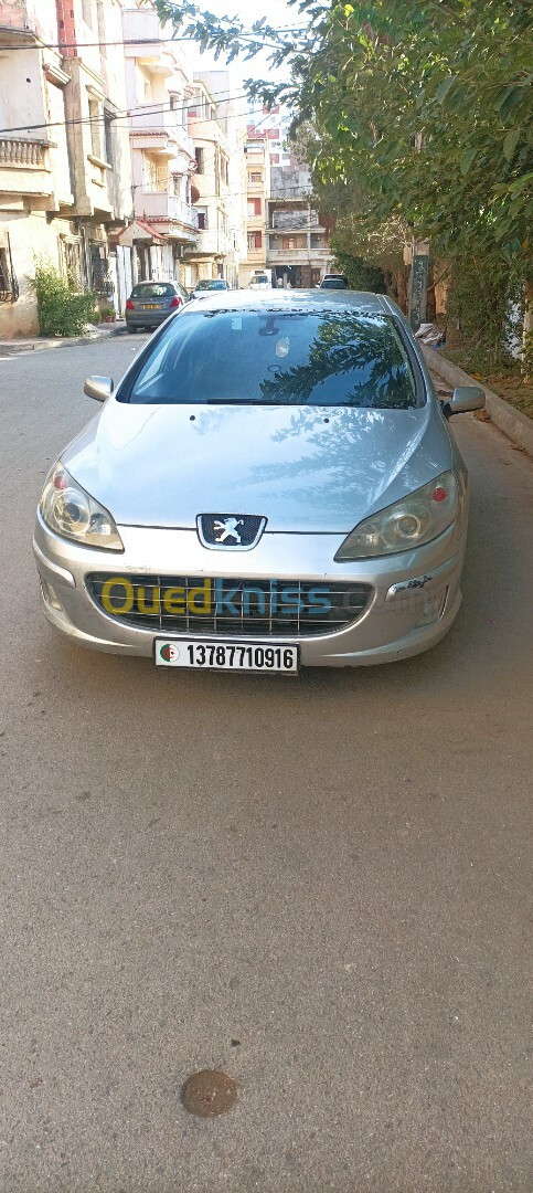 Peugeot 407 2009 407