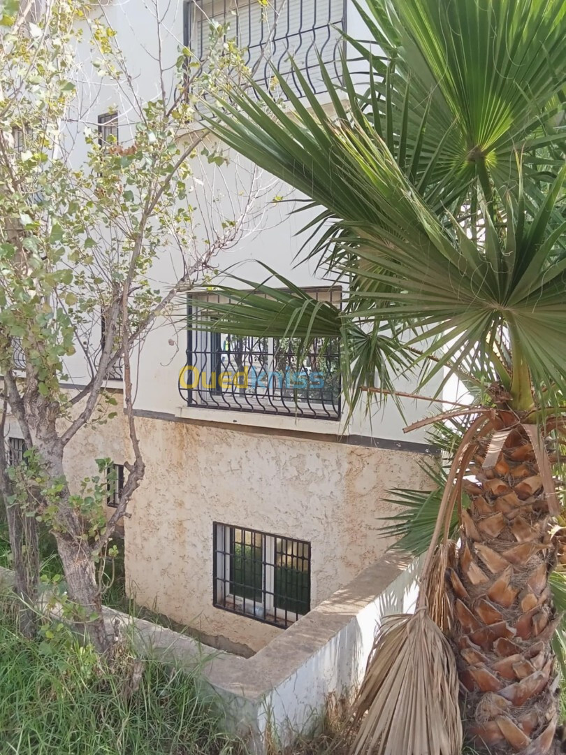 Vente Duplex F8 Alger Baba hassen