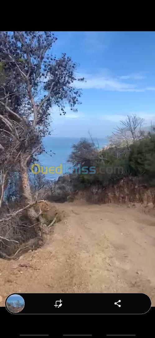 Vente Terrain Tipaza Larhat