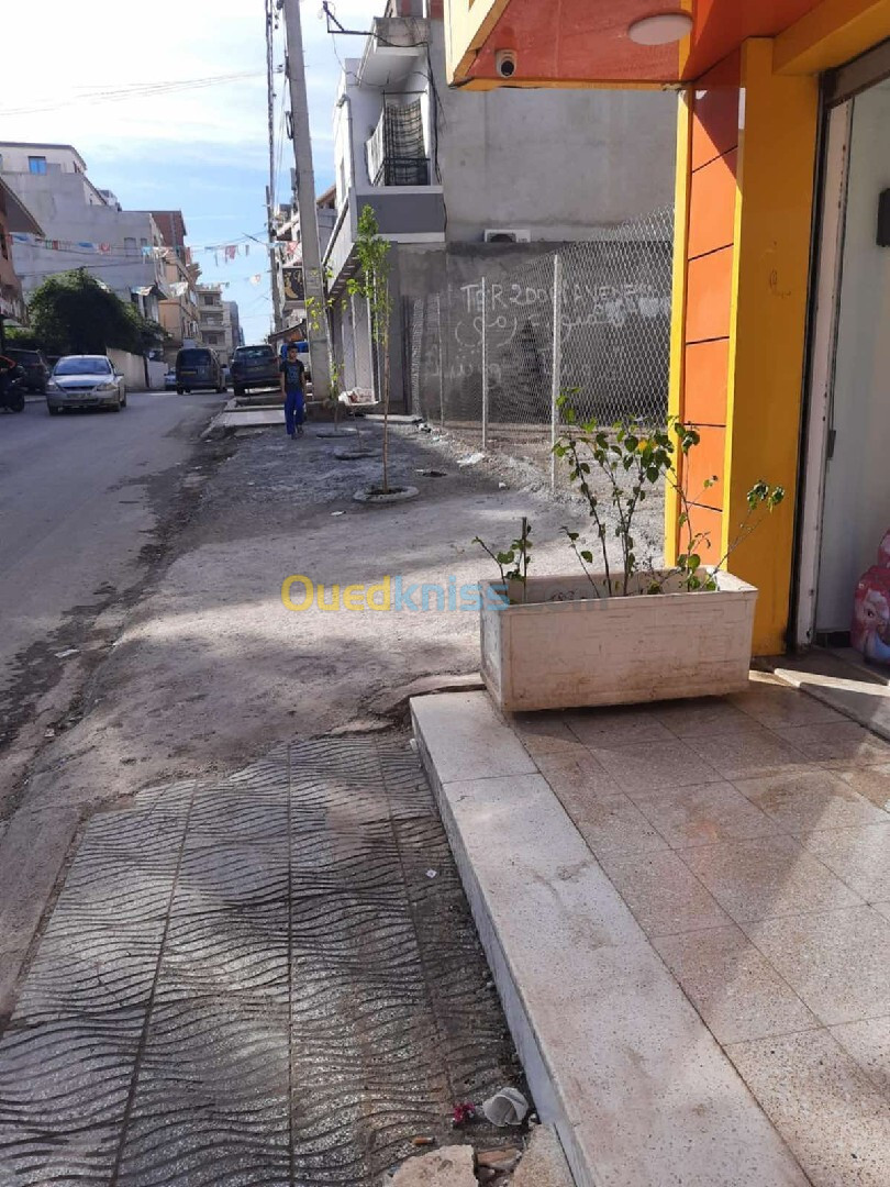 Vente Terrain Alger Bordj el kiffan