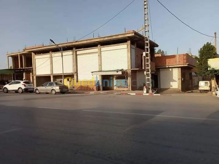 Vente Villa Chlef Bouzeghaia