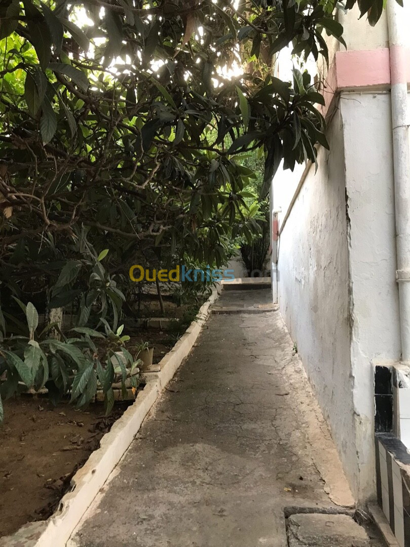 Vente Villa Alger Oued koriche