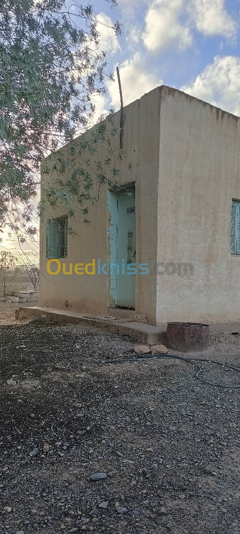 Vente Terrain Sidi Bel Abbès Tenira