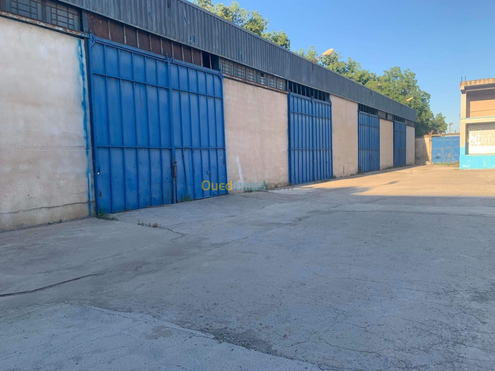 Location Hangar Blida Boufarik