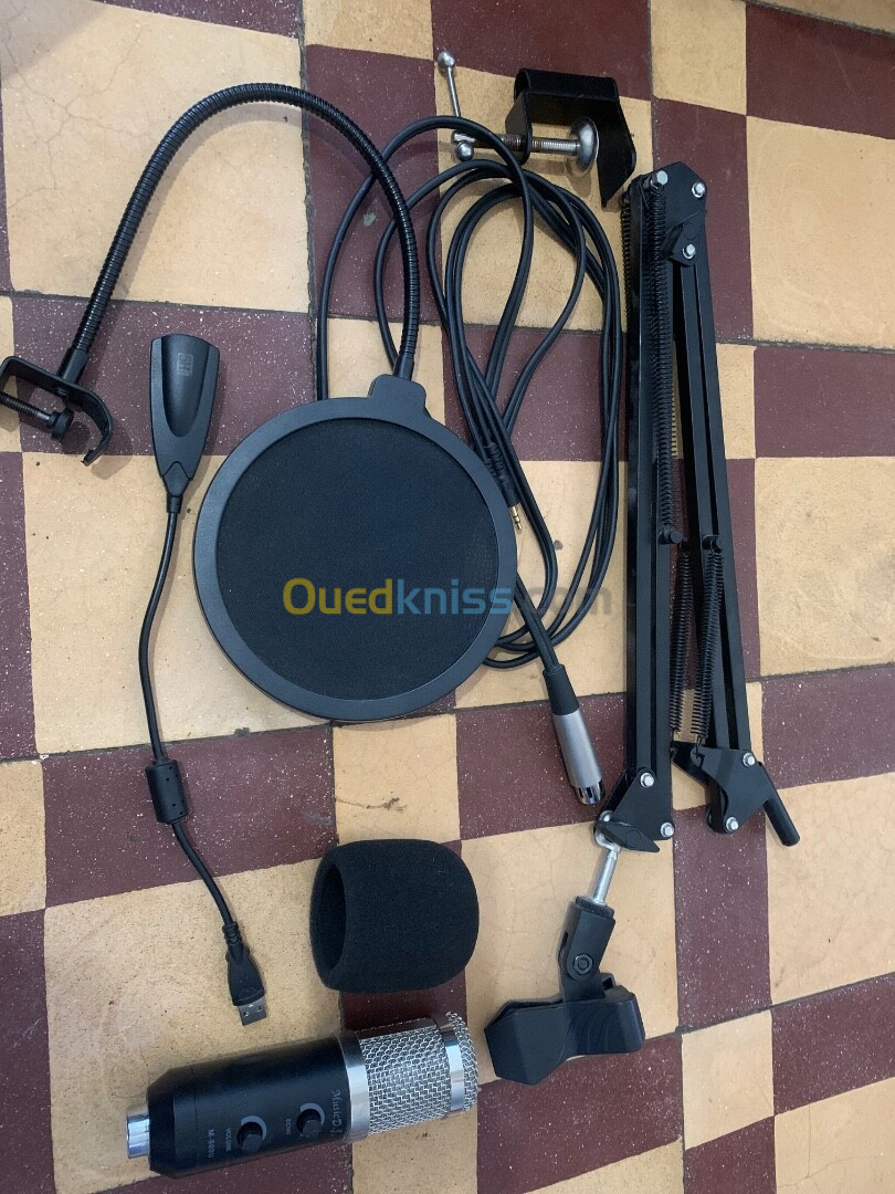 Microphone professional M800U + carte son