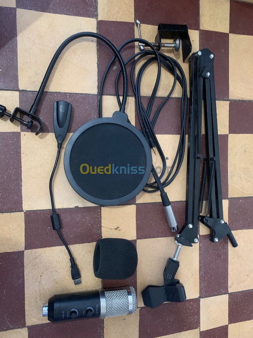 Microphone professional M800U + carte son