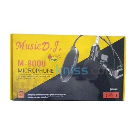 Microphone professional M800U + carte son