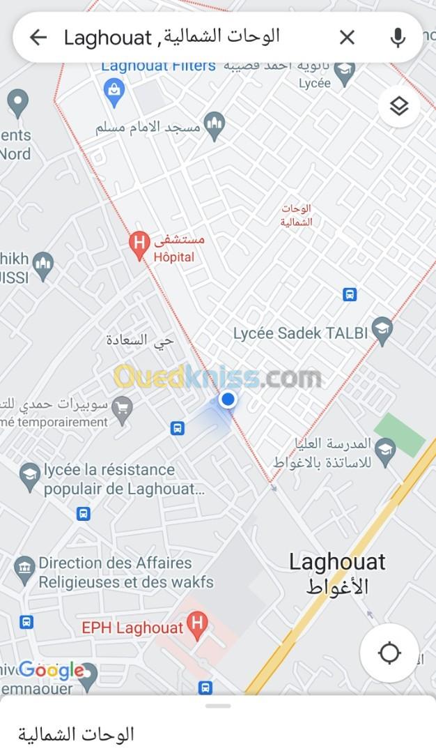 Vente Villa Laghouat Laghouat