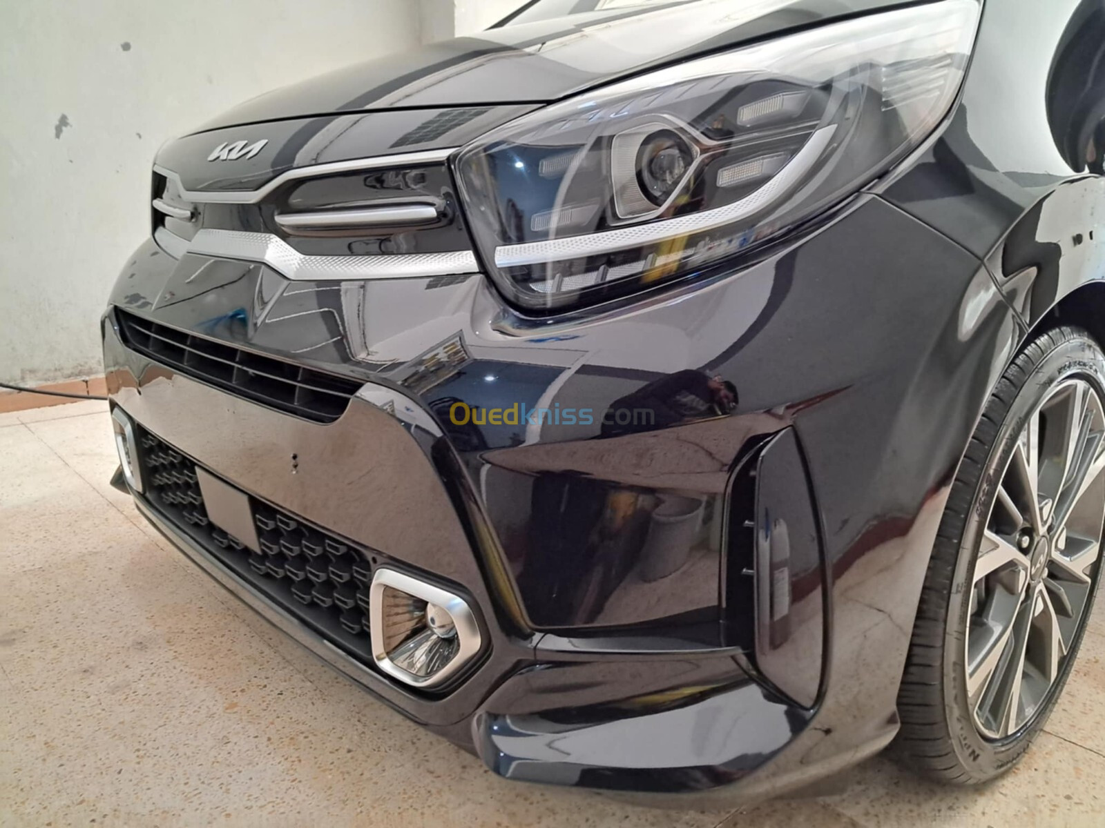 Kia Picanto 2023 Morninig