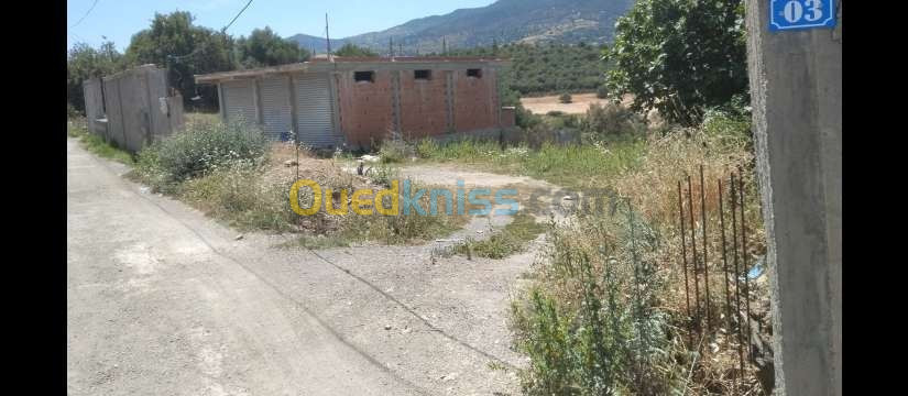 Vente Terrain Boumerdès Chabet el ameur