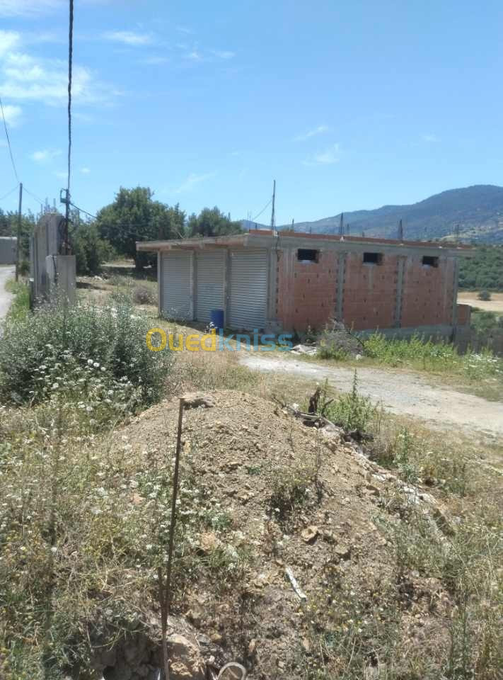 Vente Terrain Boumerdès Chabet el ameur