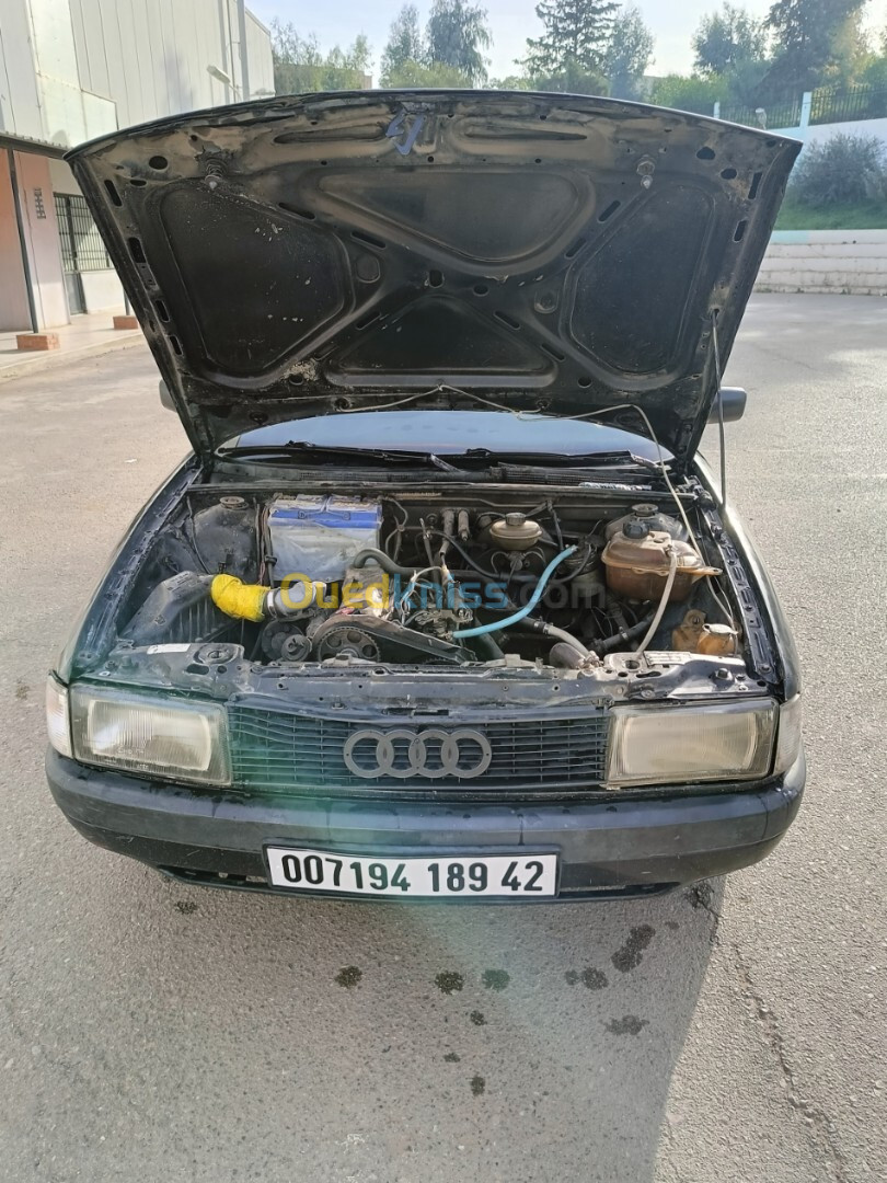 Audi 80 1989 80