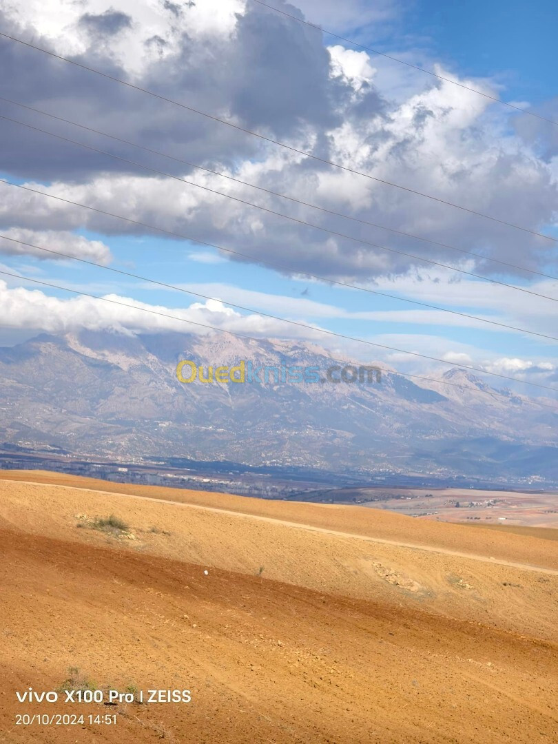 Vente Terrain Agricole Bouira Bouira