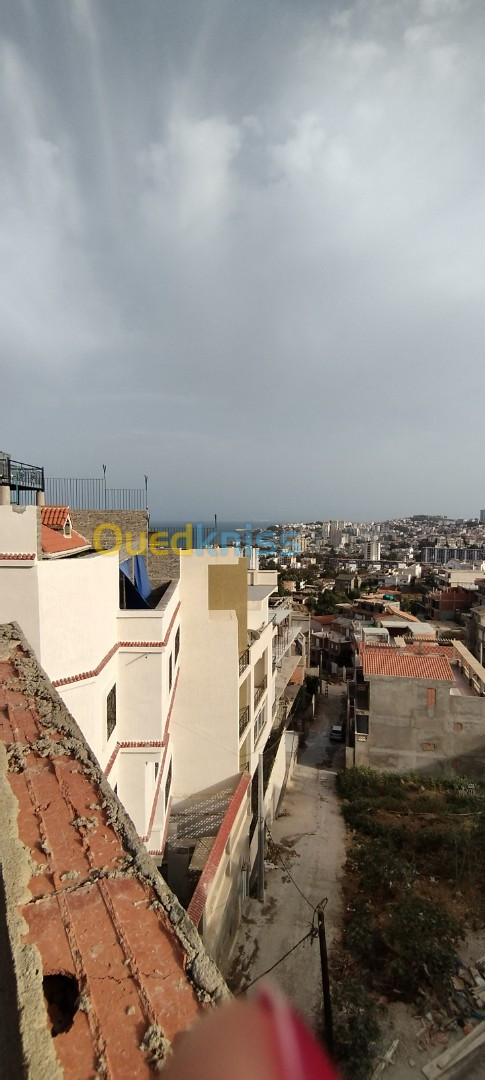 Vente Carcasse Annaba Annaba