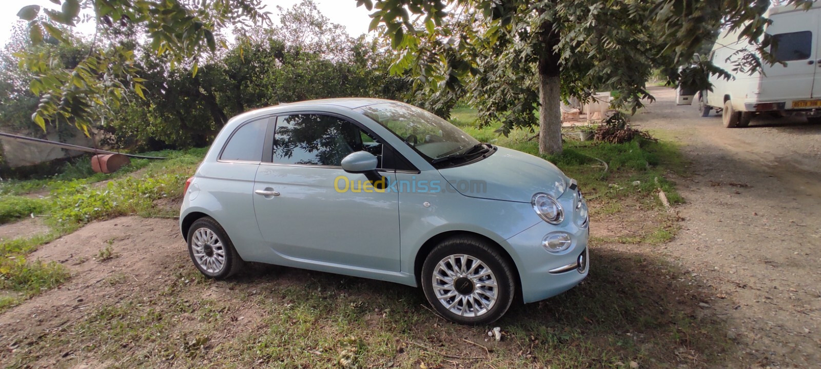 Fiat 500 2024 