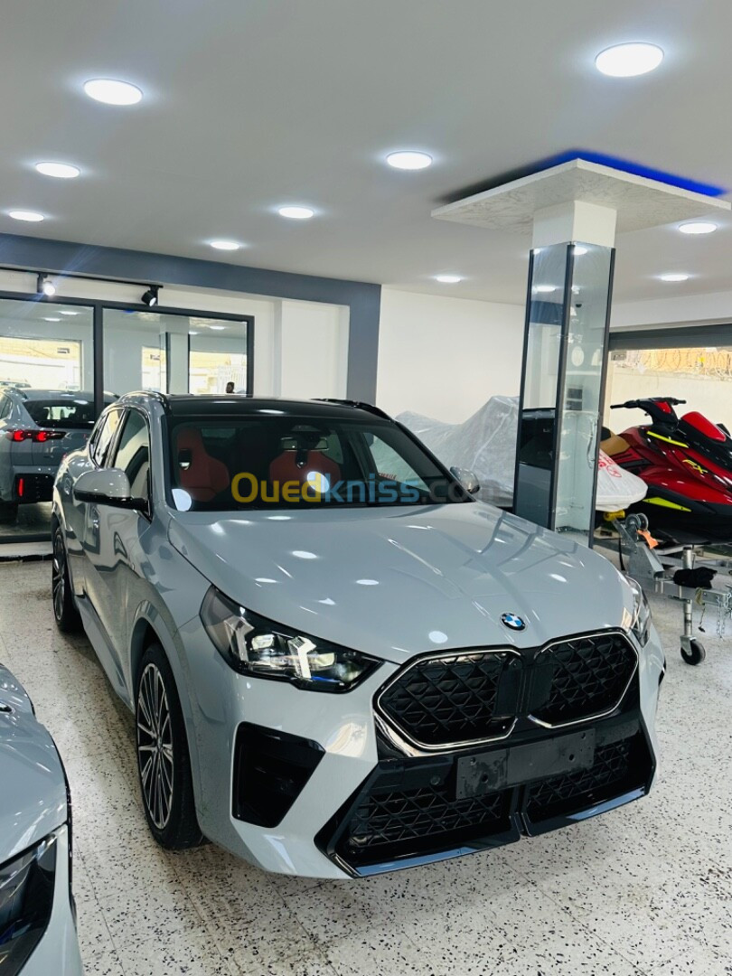 BMW X2 2024 S drive