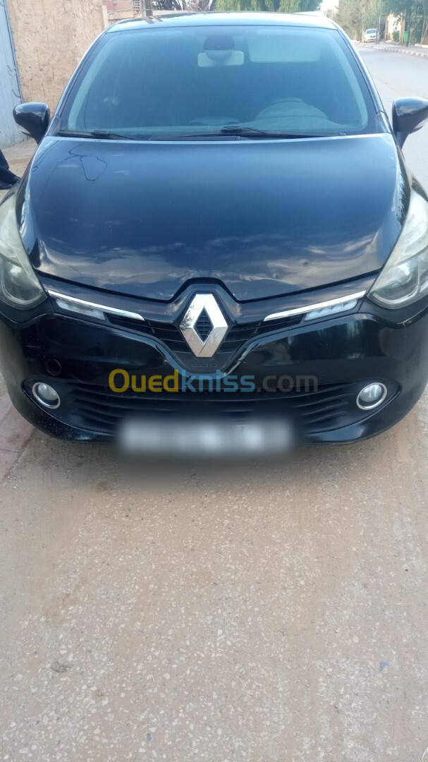 Renault Clio 4 2014 Seventeen