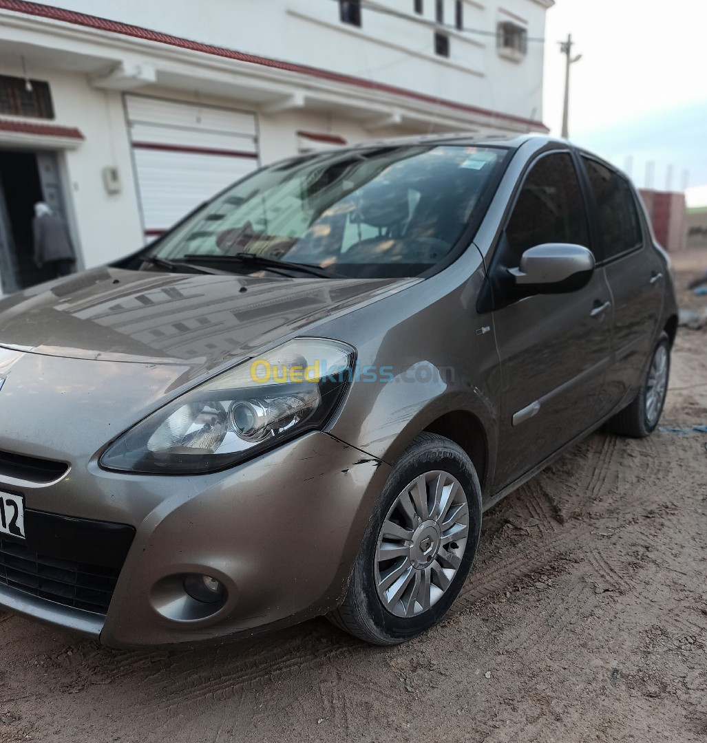 Renault Clio 3 2012 Night and Day