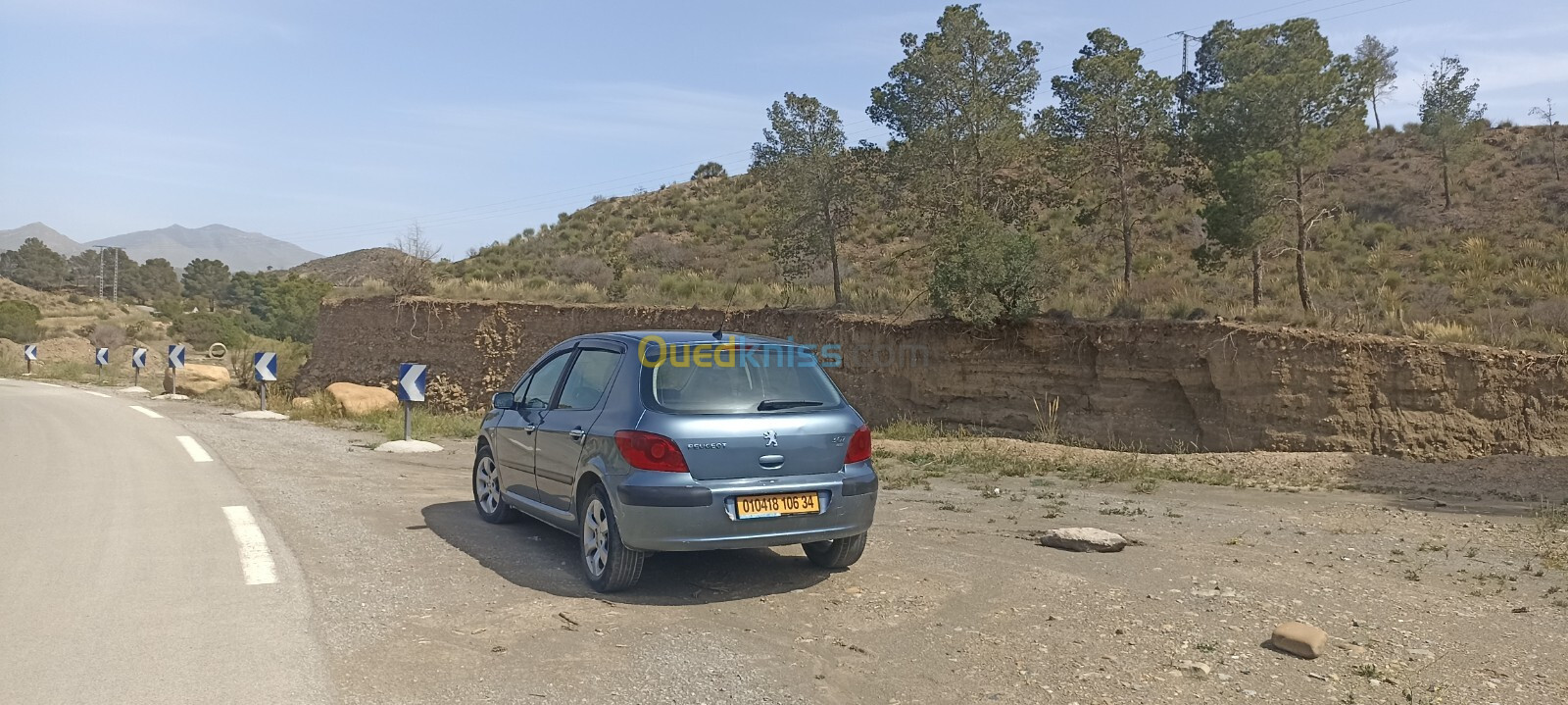 Peugeot 307 2006 Oxygo