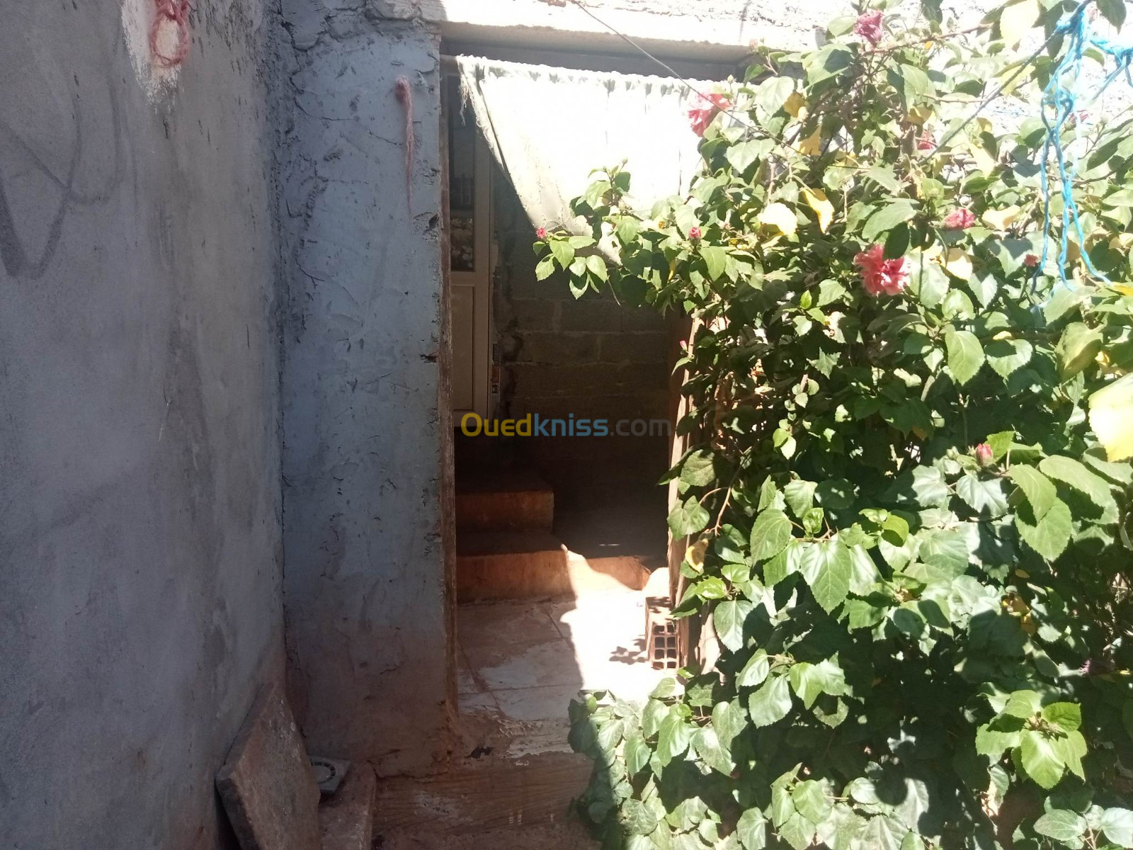 Vente Studio Tipaza Attatba