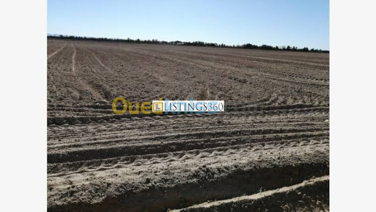 Vente Terrain Agricole El Bayadh Bougtoub