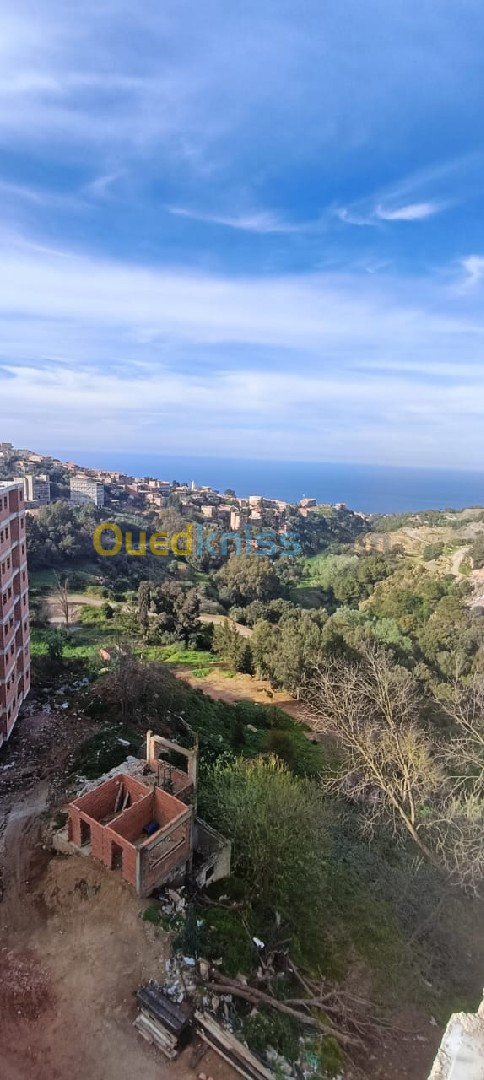 Vente Appartement F3 Alger Bouzareah