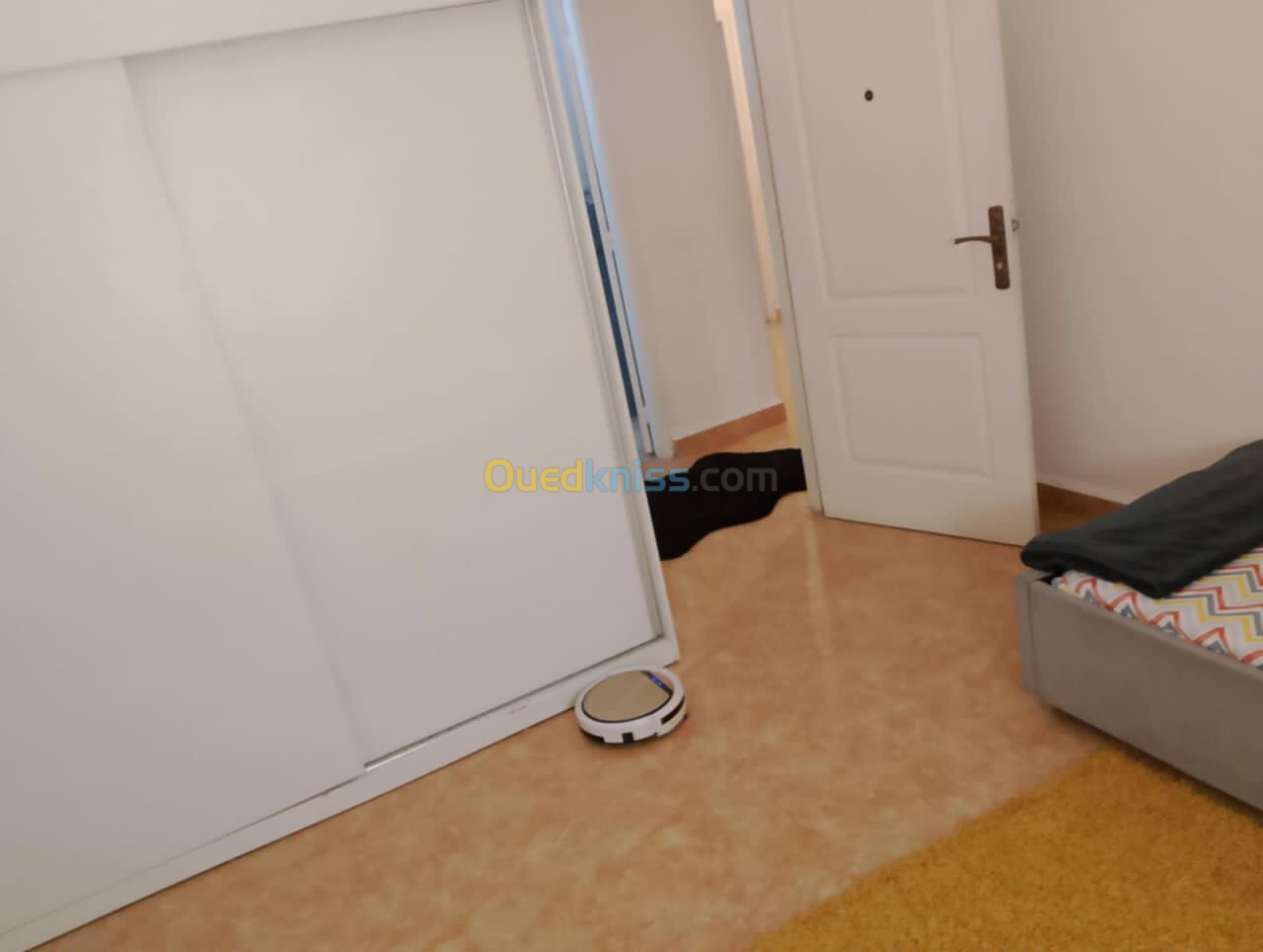 Location Appartement F4 Alger Cheraga