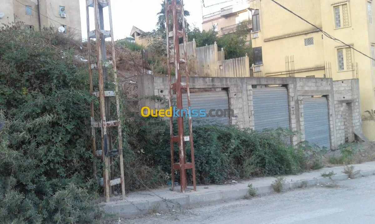 Vente Terrain Skikda Skikda